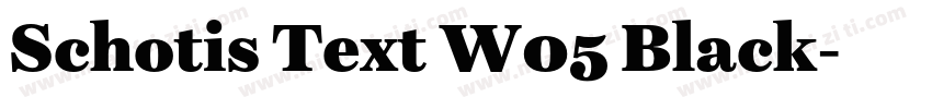 Schotis Text W05 Black字体转换